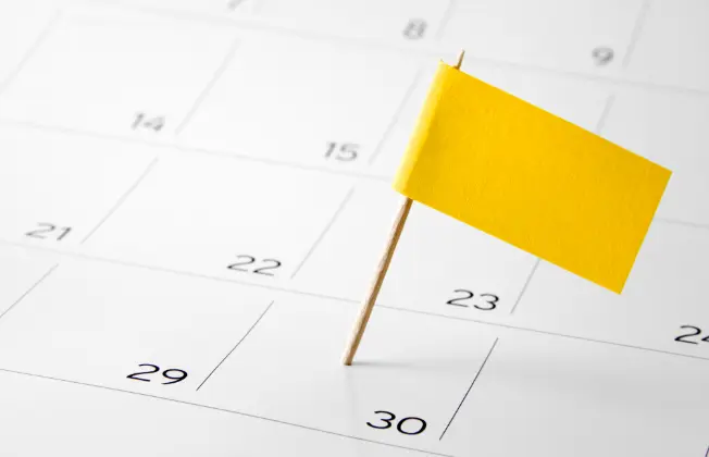Appointment calendar with a yellow flag on a day.