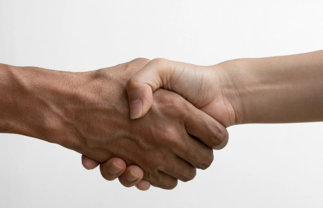 Close-up of two people shaking hands.